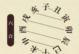 八字六合的吉凶
