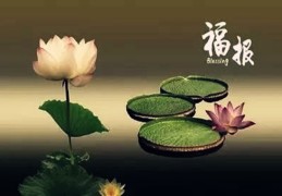 八字看你有无福报