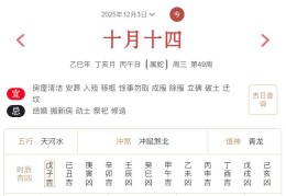 2025年12月3日每日五行穿衣指数解读搭配