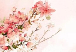 正缘桃花什么意思（八字正缘桃花什么意思）