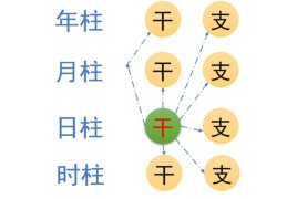 八字月令重要吗