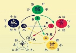 八字五行疾病象义