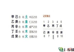 八字争合详解，八字天干争合