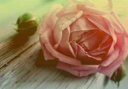 化解小人很灵的方法（化解小人最灵验的方法）