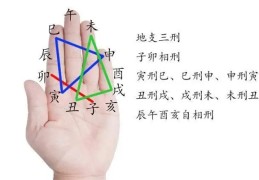 八字地支三刑的详解大全