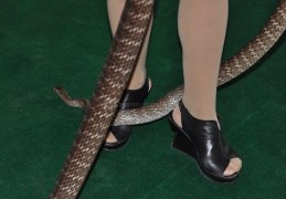 八字看适合你的最佳职业（八字看适合自己的职业）