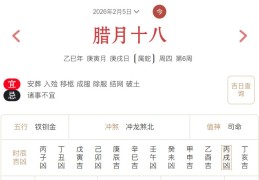 2026年2月5日每日五行穿衣指数解读搭配