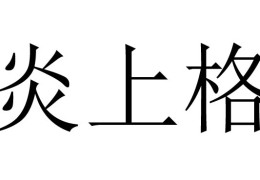 八字格局炎上格