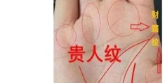 手掌中的贵人纹在哪里