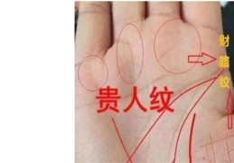 手掌中的贵人纹在哪里