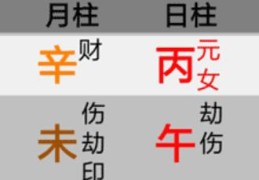 八字天干五合介绍