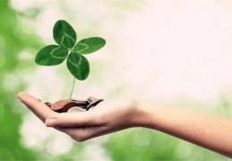 八字地支有才气的人就有钱吗（地支有财）