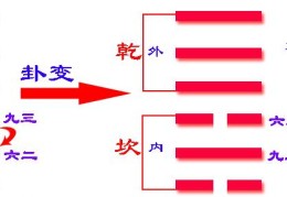 周易全书注解------遯卦