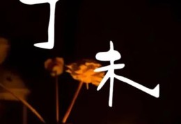 丁未日出生的人命好吗，丁未日各个时辰吉凶