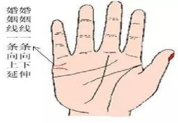 ​手相看配偶情况