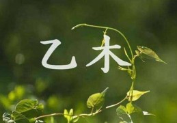 乙木日元生于几月份好