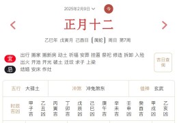 2025年2月9日每日五行穿衣指数解读搭配