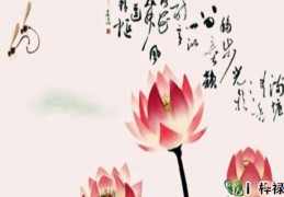 八字格局越简单命运越好吗