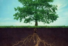 八字无根不能发财吗