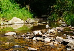 流年不顺怎么化解（流年不顺怎么化解凶吉）