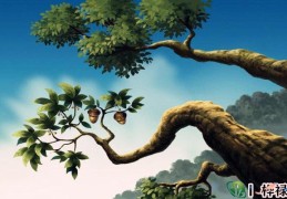 八字盲派乙木日元口诀