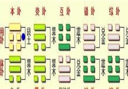 动爻取象技巧详解