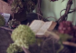 木命的女人命运好不好