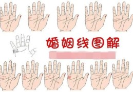 手相婚姻线解读大全