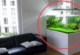 商铺鱼缸摆放风水禁忌