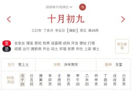 2025年11月28日每日五行穿衣指数解读搭配