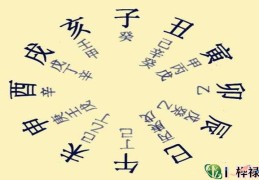 八字地支藏干应用技巧