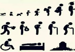 八字命理如何断不同年龄的人的命运