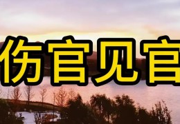 八字有伤官见官如何化解
