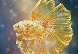 女命金水旺的人好不好