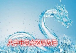 八字中贵命格局条件