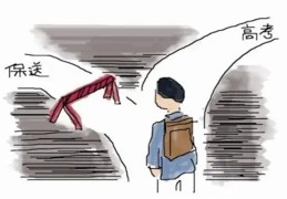 事业型女强人八字（事业型的女强人）