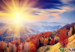 五行缺木缺金怎么补救