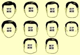 脸的形状看命运的好坏