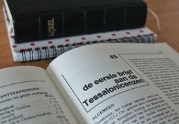 八字甲木日元取用神技巧