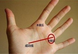 能赚大钱的手纹特征