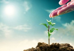 八字偏旺什么意思，八字偏旺的人好吗