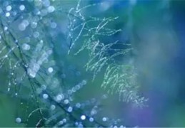 癸水日元的男人命运好吗