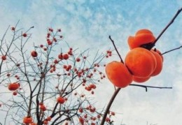 命带红鸾的人看感情