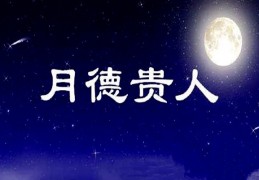 司机的八字特征