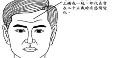 面相中正的命运特征