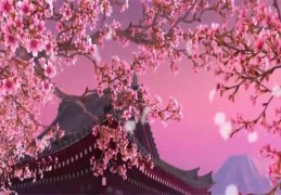 生辰八字论命看桃花信息