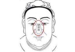 面相财帛宫详解