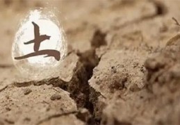 八字五行土的旺弱缺失代表的含义