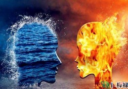 八字地支六冲吉凶象义详解大全