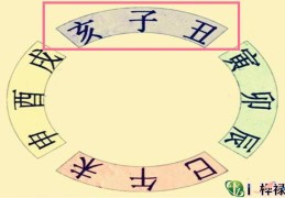八字带亥子丑的人好吗